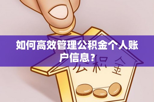 牙克石如何高效管理公积金个人账户信息？